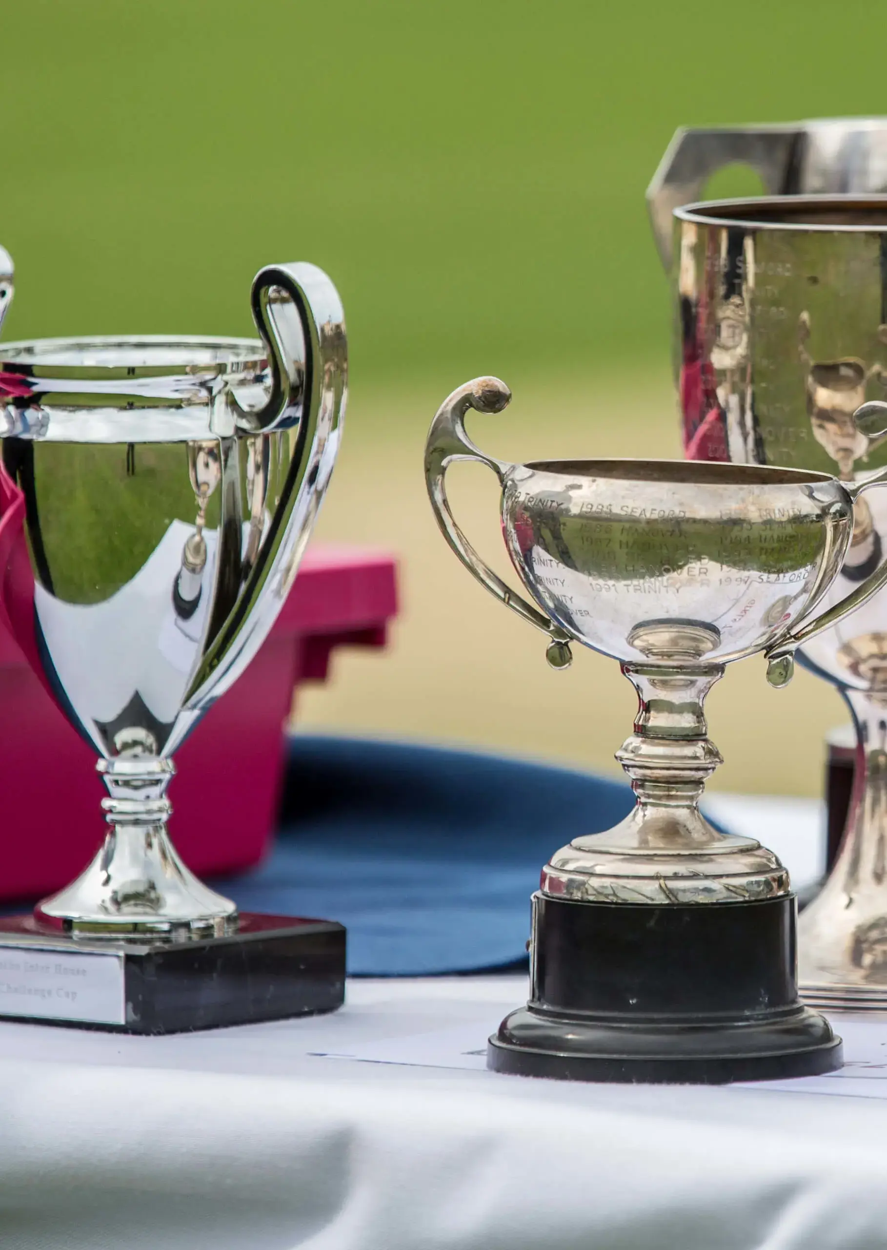 Ryde School Trophies