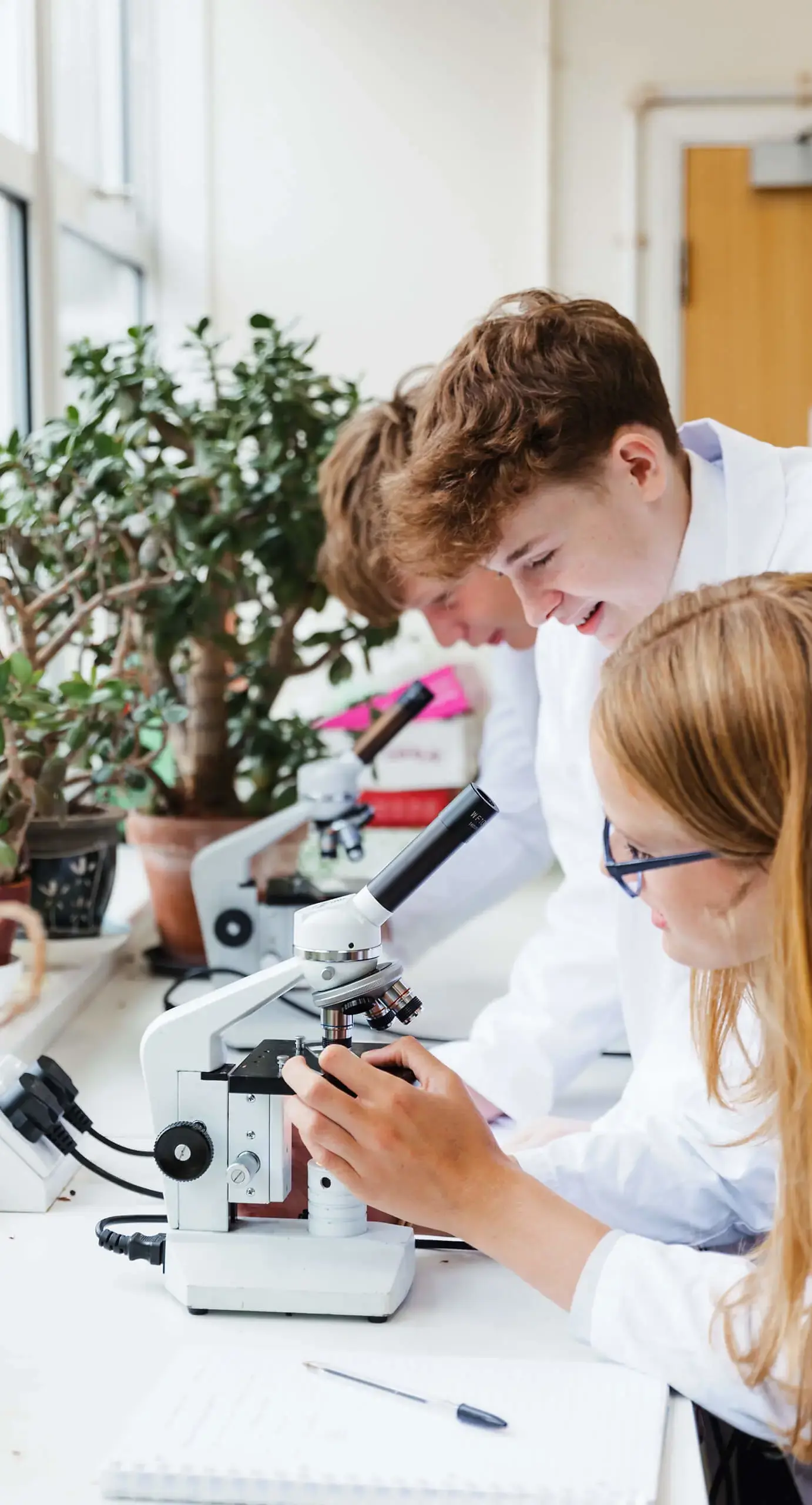 Ryde School Senior Students working with microscopes in a biology lesson